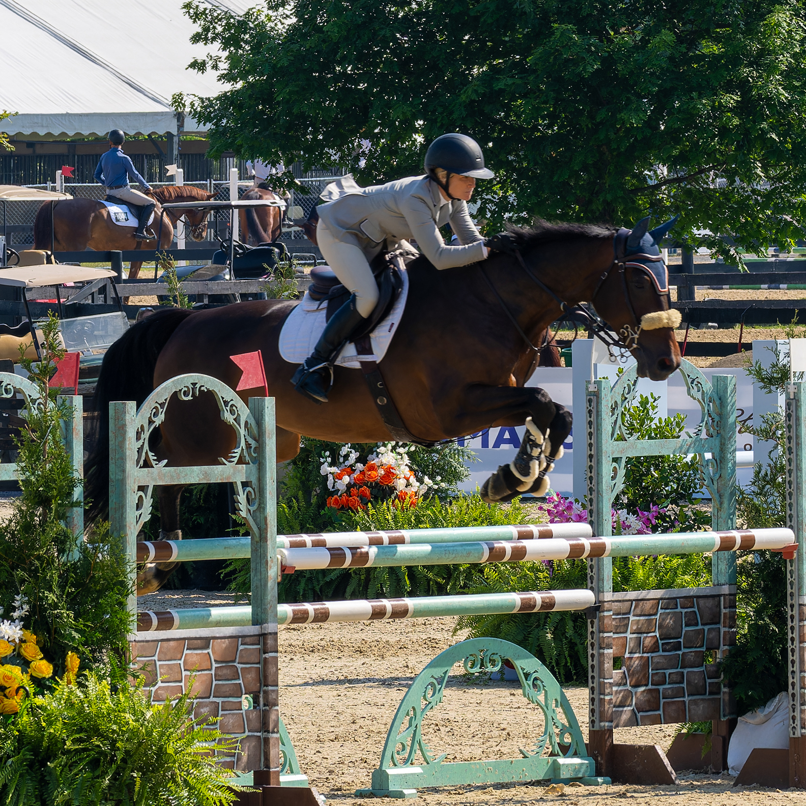 Upperville Colt & Horse Show 2025